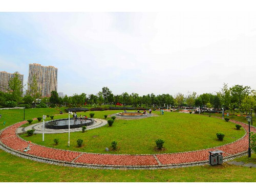 博鱼boyu登录入口：尚志城市绿化带种植什么植物比较好