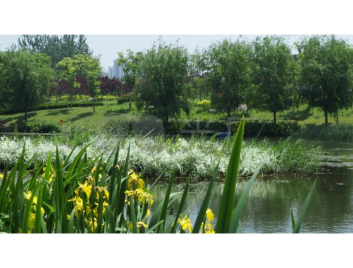 博鱼boyu登录入口：新郑城市道路绿化规范2022