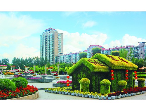 博鱼boyu：兴化市政绿化公司需要建造师吗知乎