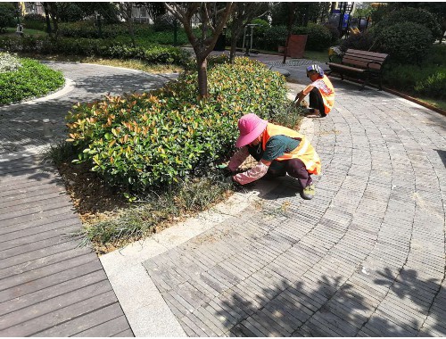 博鱼boyu登录入口：扬中做市政绿化工程需要什么资质呢