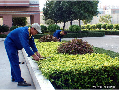 博鱼boyu登录入口：姜堰绿化苗木市场完了