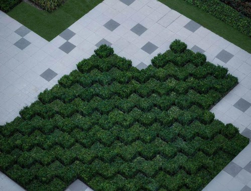 博鱼boyu：扬州城市绿化风格建筑设计